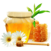 Phoenicia Wildflower Honey with Comb Petekli Yabani Cicek Bali Kanada Toronto Canada United States Ottawa Montreal Quebec Laval Vancouver Edmonton New York California Mississauga Kitchener Hamilton Halifax New York California Niagara Falls