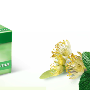 Dogadan Linden Mint Herbal Tea Dogadan Ihlamur Nane Bitkisel Cay Kanada Toronto Canada Ontario Alberta Manitoba United States Ottawa Montreal Quebec Laval Vancouver Edmonton Calgary Mississauga Kitchener Hamilton Halifax New York California Niagara Falls Oakville Brampton Peterborough Vaughan Milton Ajax Bolton Milton Burlington Etobicoke