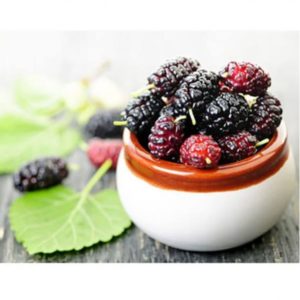 Baytat Turkish Mulberry Molasses No Preservatives Dut Pekmezi Tahin Toronto, Mississauga, Montreal, Calgary, Ottawa, Edmonton, Mississauga, Winnipeg, Vancouver, Brampton, Hamilton, Quebec City, Surrey, Laval, Halifax, London, Markham, Vaughan, Gatineau, Saskatoon, Kitchener, Windsor, Regina, Richmond, Richmond Hill, Oakville, Burlington, Oshawa, Catharines, Cambridge, Kingston, Whitby, Guelph, Ajax, Thunder Bay. Vancouver, Milton, Niagara Falls, Newmarket, Peterborough, Sarnia, Buffalo, Fredericton, Alberta, British Columbia, Manitoba, New Brunswick, Newfoundland and Labrador, Nova Scotia, Ontario, Prince Edward Island, Saskatchewan, Northwest Territories, Nunavut, New York, Los Angeles, San Fransisco, Arizona, Washington, Florida, Pekmez nerden satin alinir.