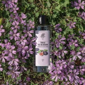 turkishbazaar rebul fig blossom cologne