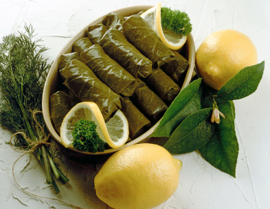 Turkish Vine leaves tat salamura asma yapragi, where to buy vine leaves: Canada, United States, Toronto, Montreal, Calgary, Ottawa, Edmonton, Mississauga,Scarborough Winnipeg, Vancouver, Brampton, Hamilton, Quebec City, Surrey, Laval, Halifax, London, Markham, Vaughan, Gatineau, Saskatoon, Kitchener, Windsor, Regina, Richmond, Richmond Hill, Oakville, Burlington, Oshawa, Catharines, Cambridge, Kingston, Whitby, Guelph, Ajax, Thunder Bay. Vancouver, Milton, Niagara Falls, Newmarket, Peterborough, Sarnia, Buffalo, Fredericton, Alberta, British Columbia, Manitoba, New Brunswick, Newfoundland and Labrador, Nova Scotia, Ontario, Prince Edward Island, Saskatchewan, Northwest Territories, Nunavut, New York, Los Angeles, San Francisco, Arizona, Washington, Florida.