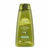Olive Oil Shampoo Volumizing Straight Hair Dalan Toronto Montreal Quebec Ottawa NewYork Miami Florida