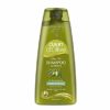 Olive Oil Shampoo Volumizing Straight Hair Dalan Toronto Montreal Quebec Ottawa NewYork Miami Florida