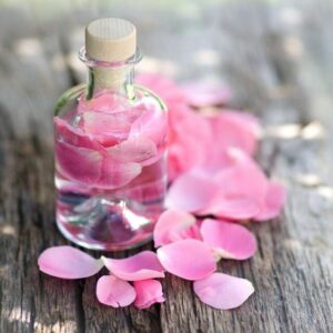 rosewater toronto