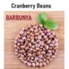 cranberry beans