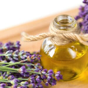 lavender essential oil